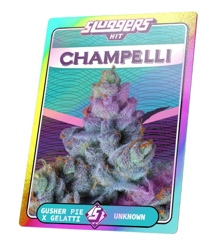 Champelli Cassis Indica Juiced 5pk - Image 5