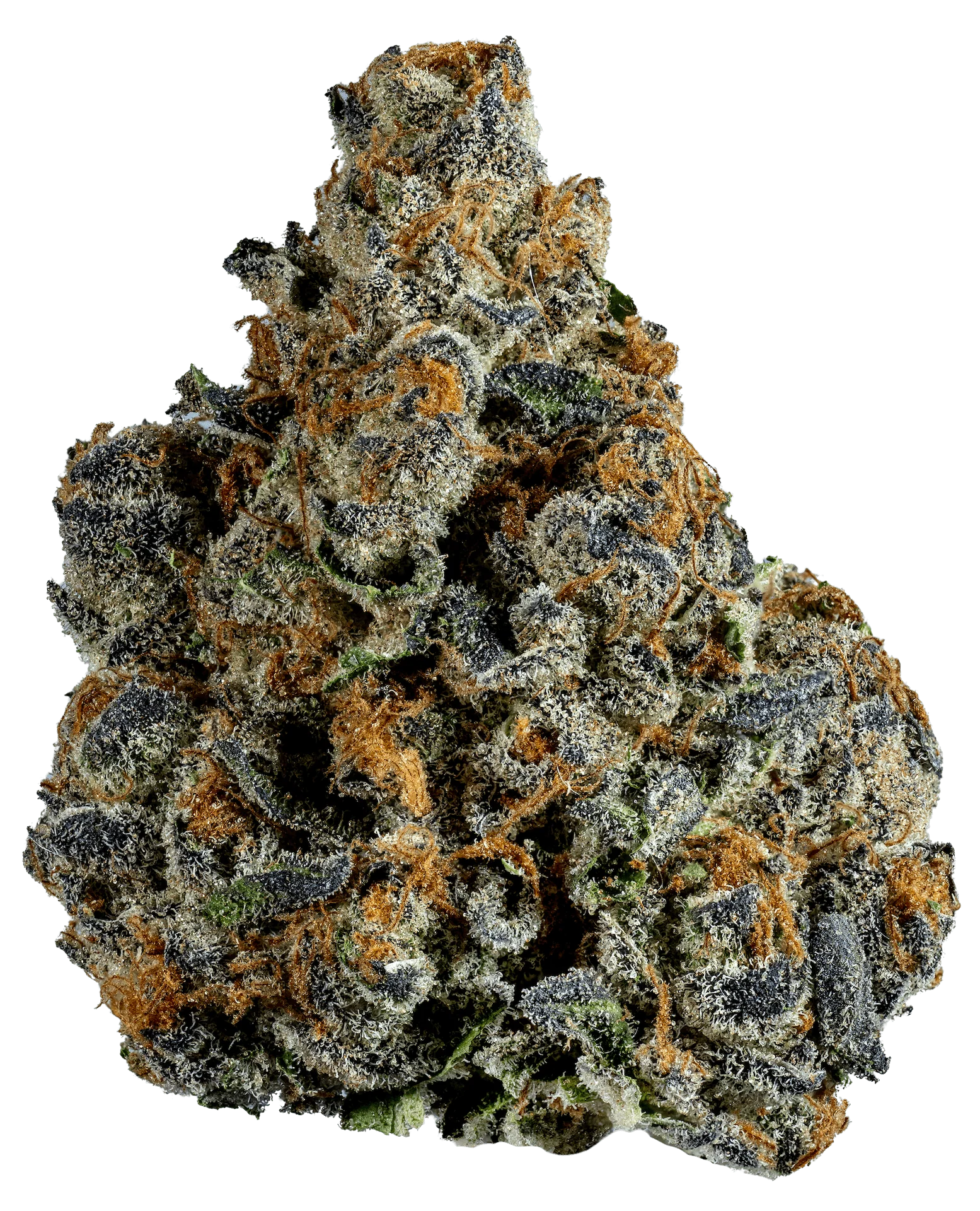 Spritz Flytatted Sky Sativa Special Edition Flower - Image 3